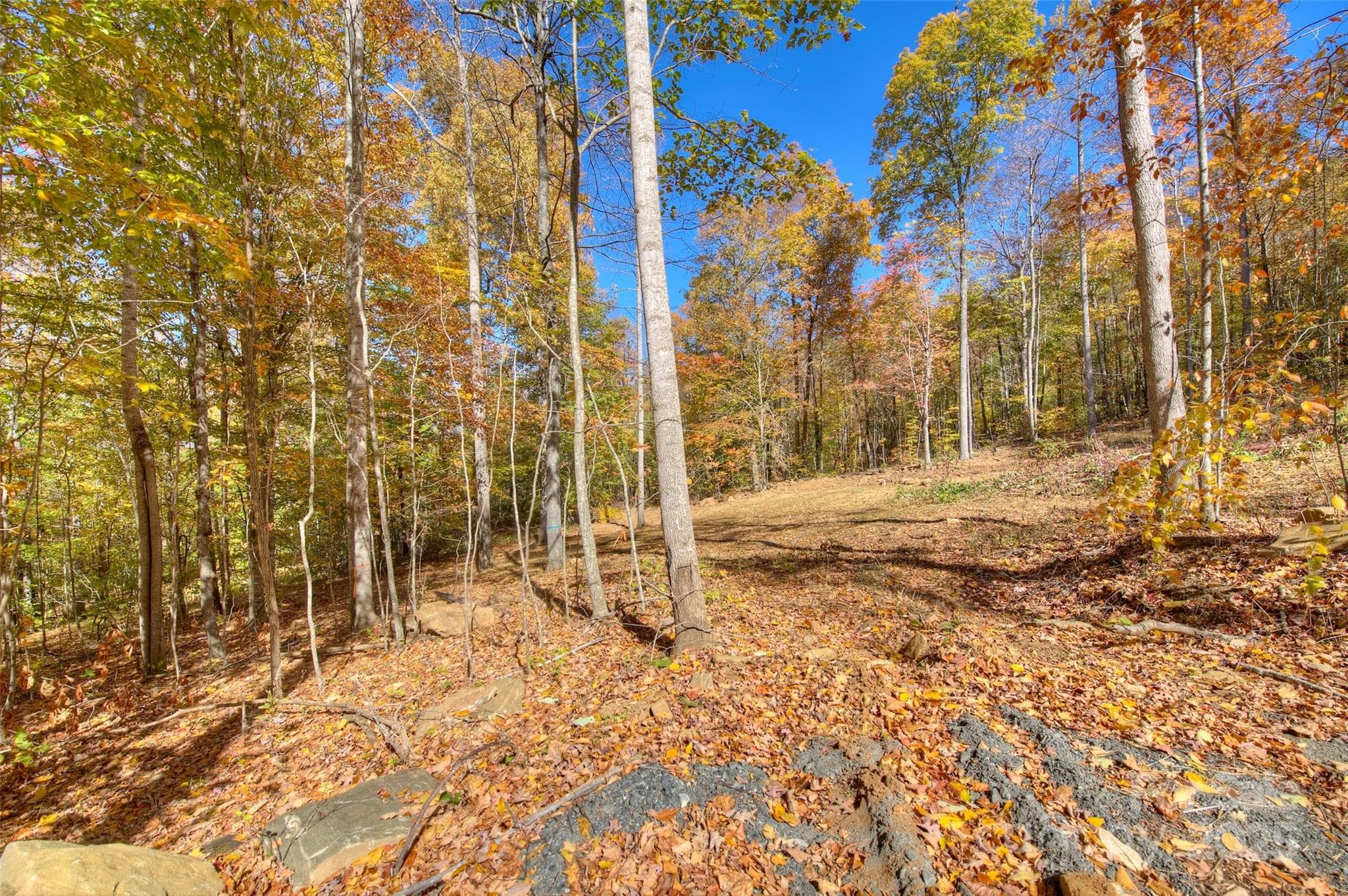 Lot at 0 Pebble Ridge Road, Spruce Pine, photo 7 of 26