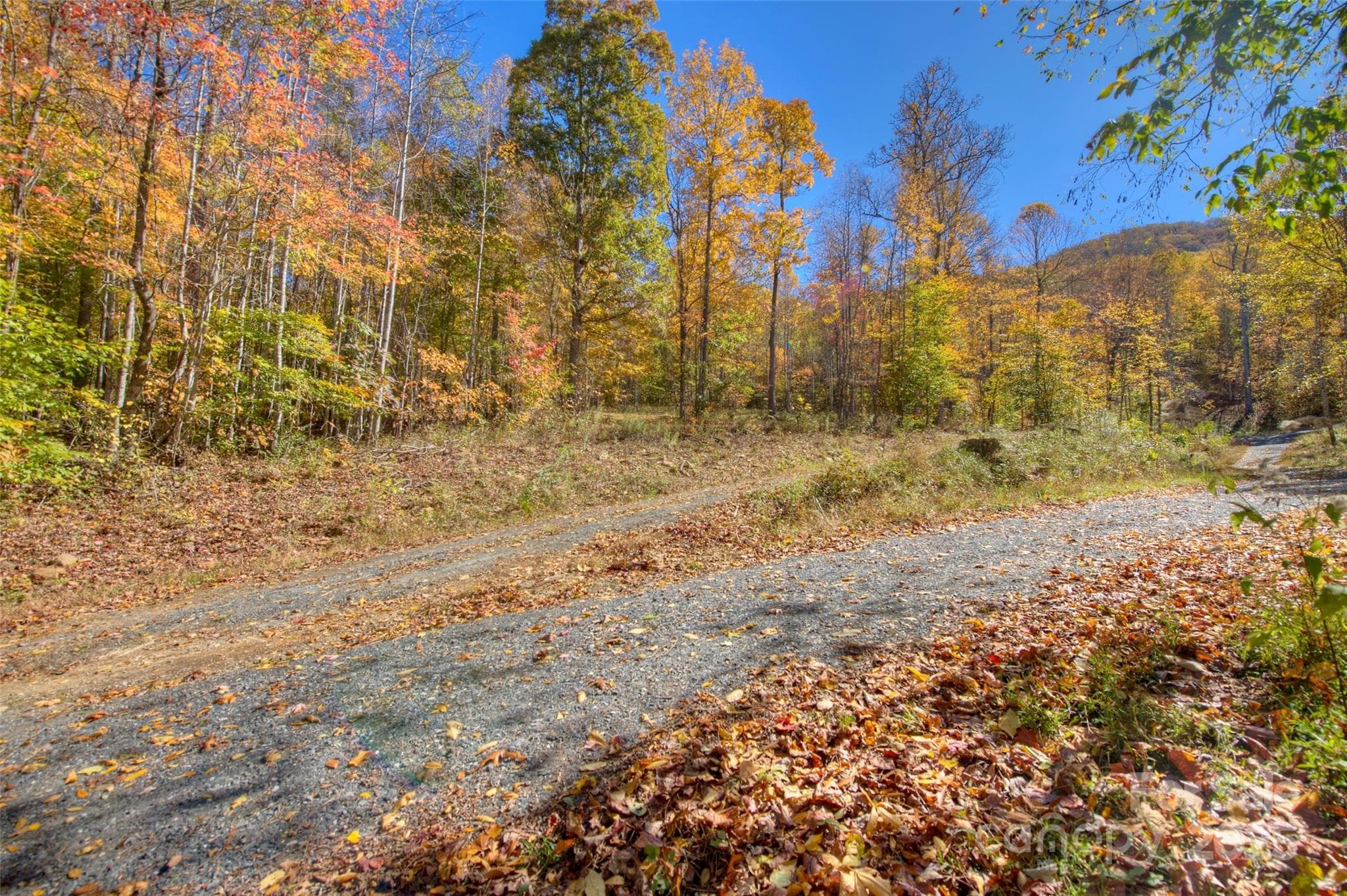 Lot at 0 Pebble Ridge Road, Spruce Pine, photo 12 of 26