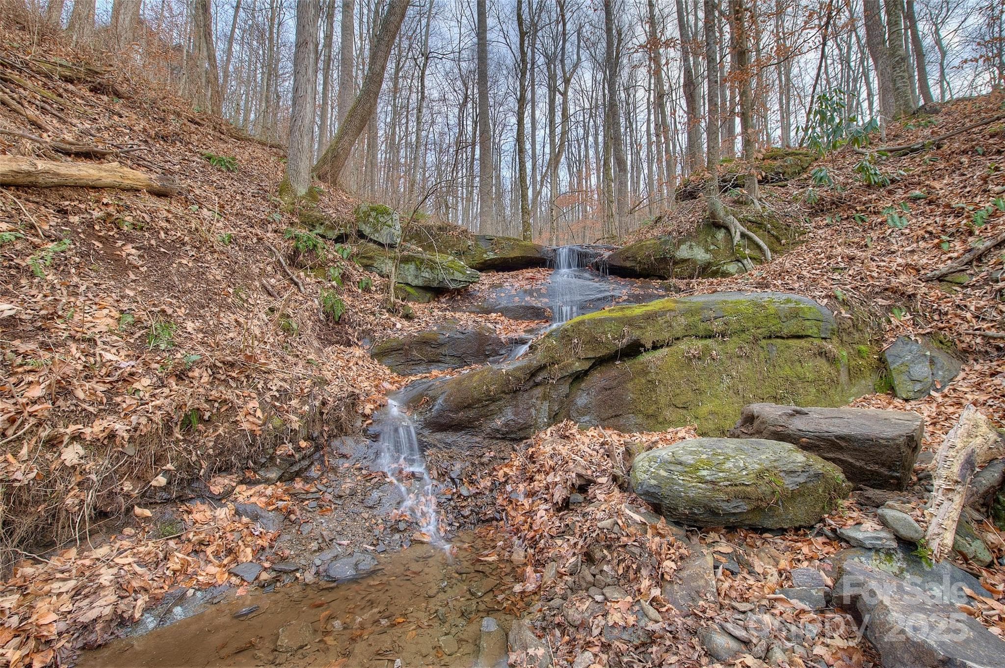 Lot at 0 Pebble Ridge Road, Spruce Pine, photo 16 of 26