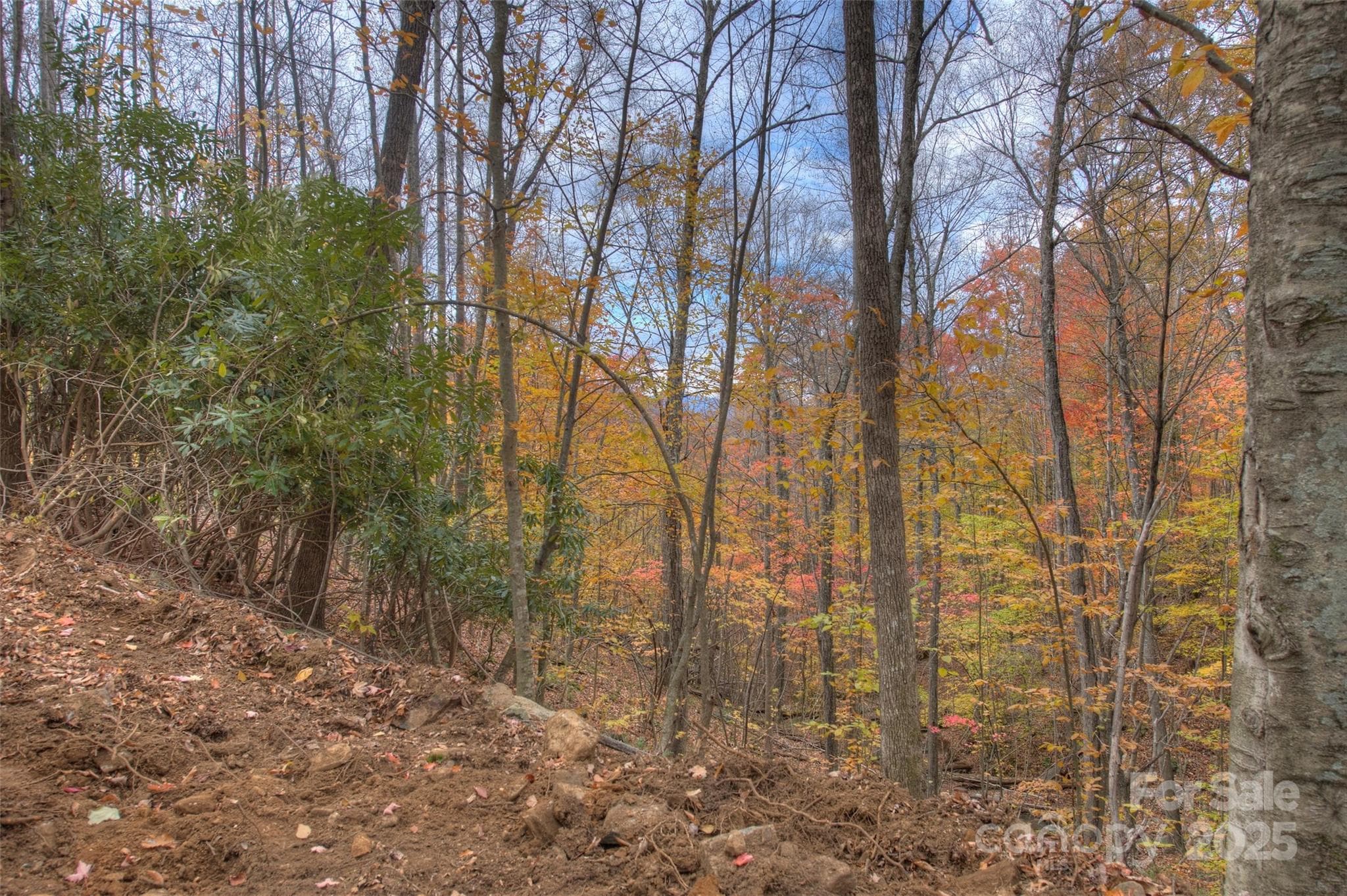 Lot at 0 Pebble Ridge Road, Spruce Pine, photo 17 of 26