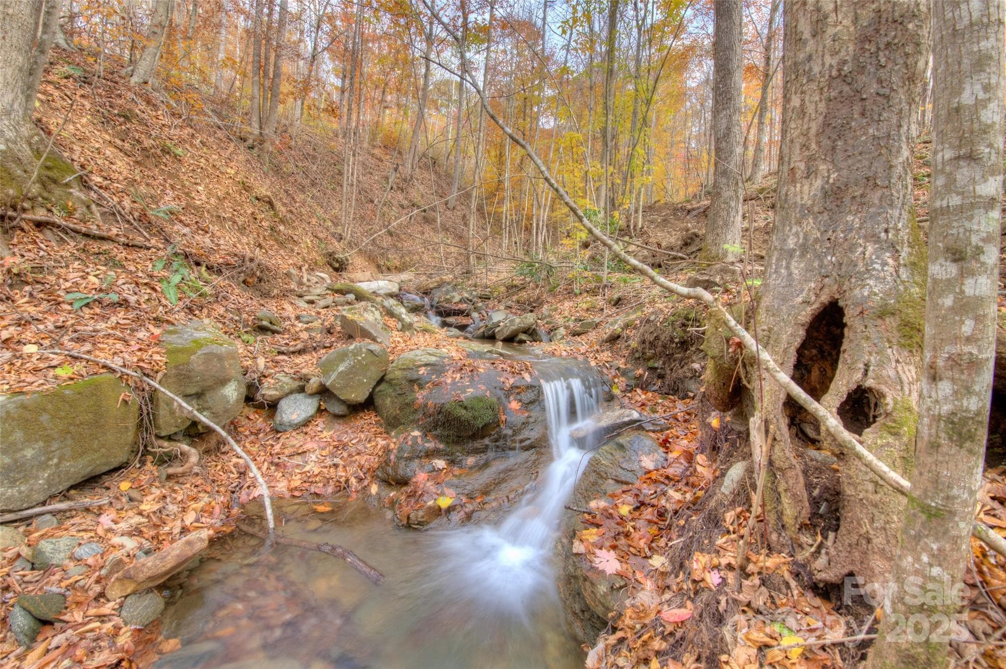 Lot at 0 Pebble Ridge Road, Spruce Pine, photo 19 of 26