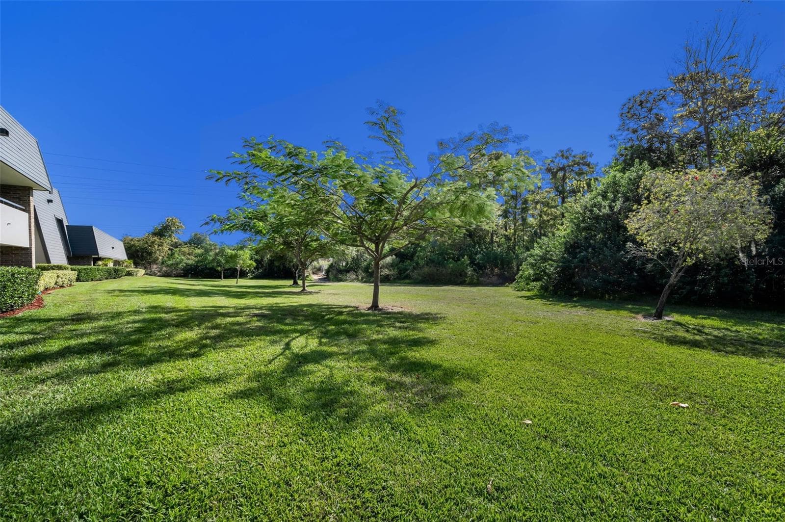 Condominium at 36750 US HIGHWAY 19 N #28-2017, PALM HARBOR, photo 45 of 69