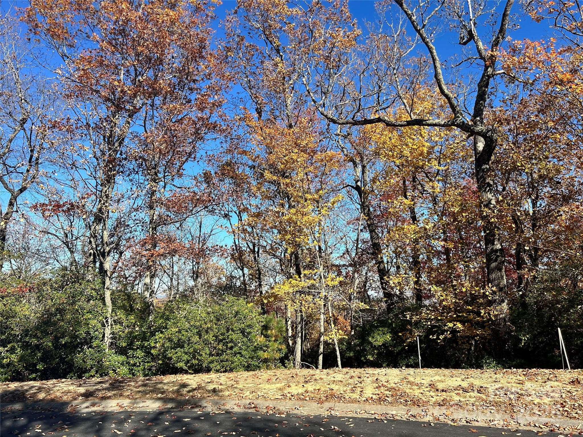 Lot at Horse Shoe, photo 2 of 7
