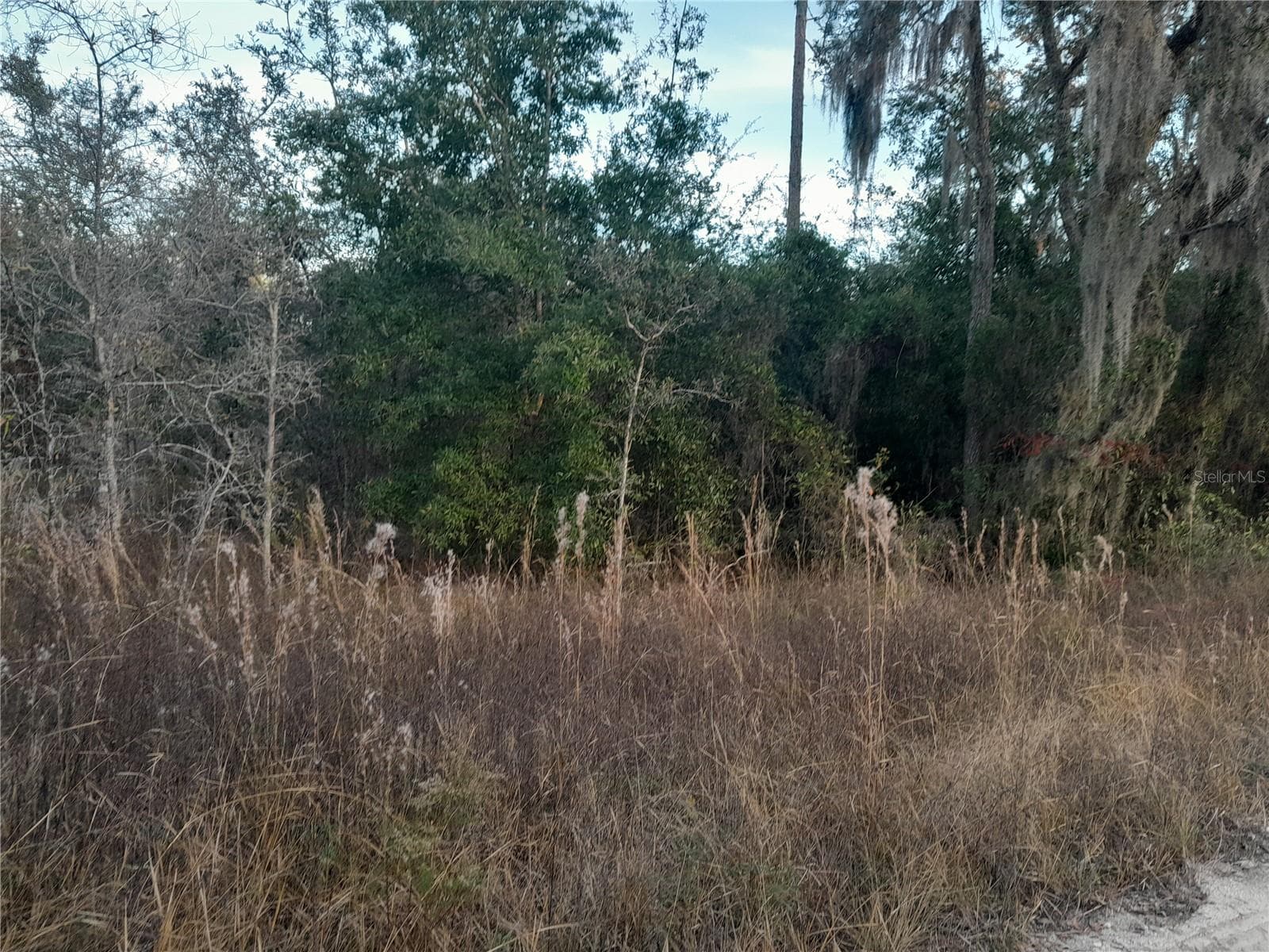 Land at 1531 NE 123RD AVE, WILLISTON, photo 2 of 4