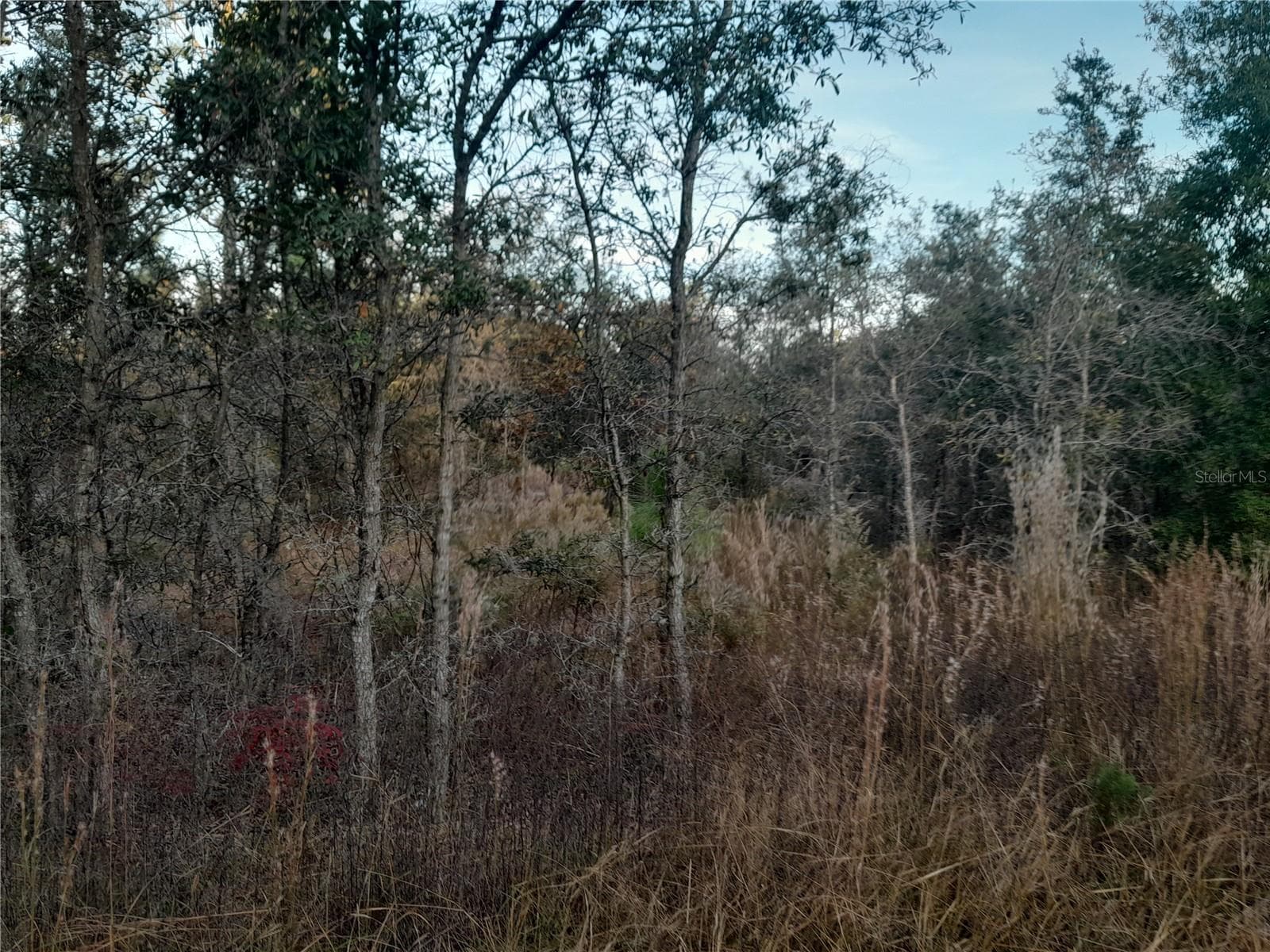 Land at 1531 NE 123RD AVE, WILLISTON, photo 3 of 4