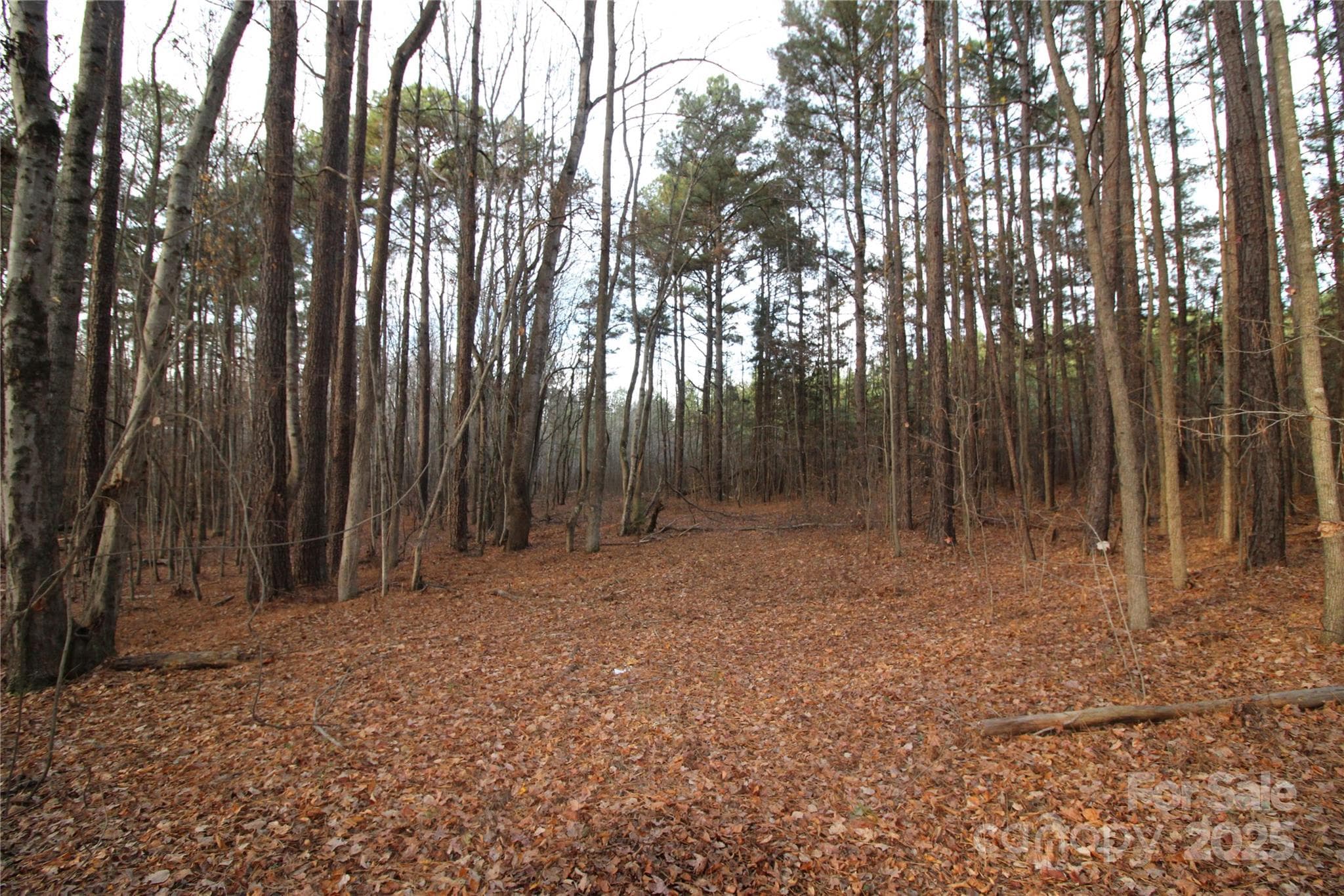 Lot at York, photo 2 of 19