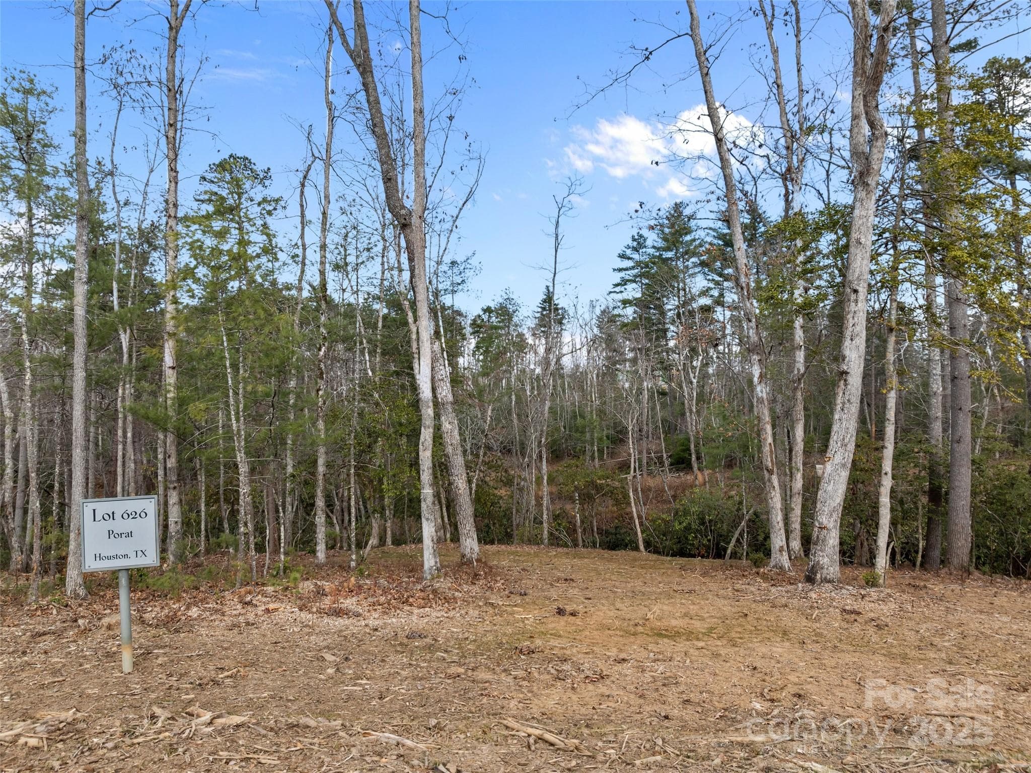 Lot at Asheville, photo 4 of 35