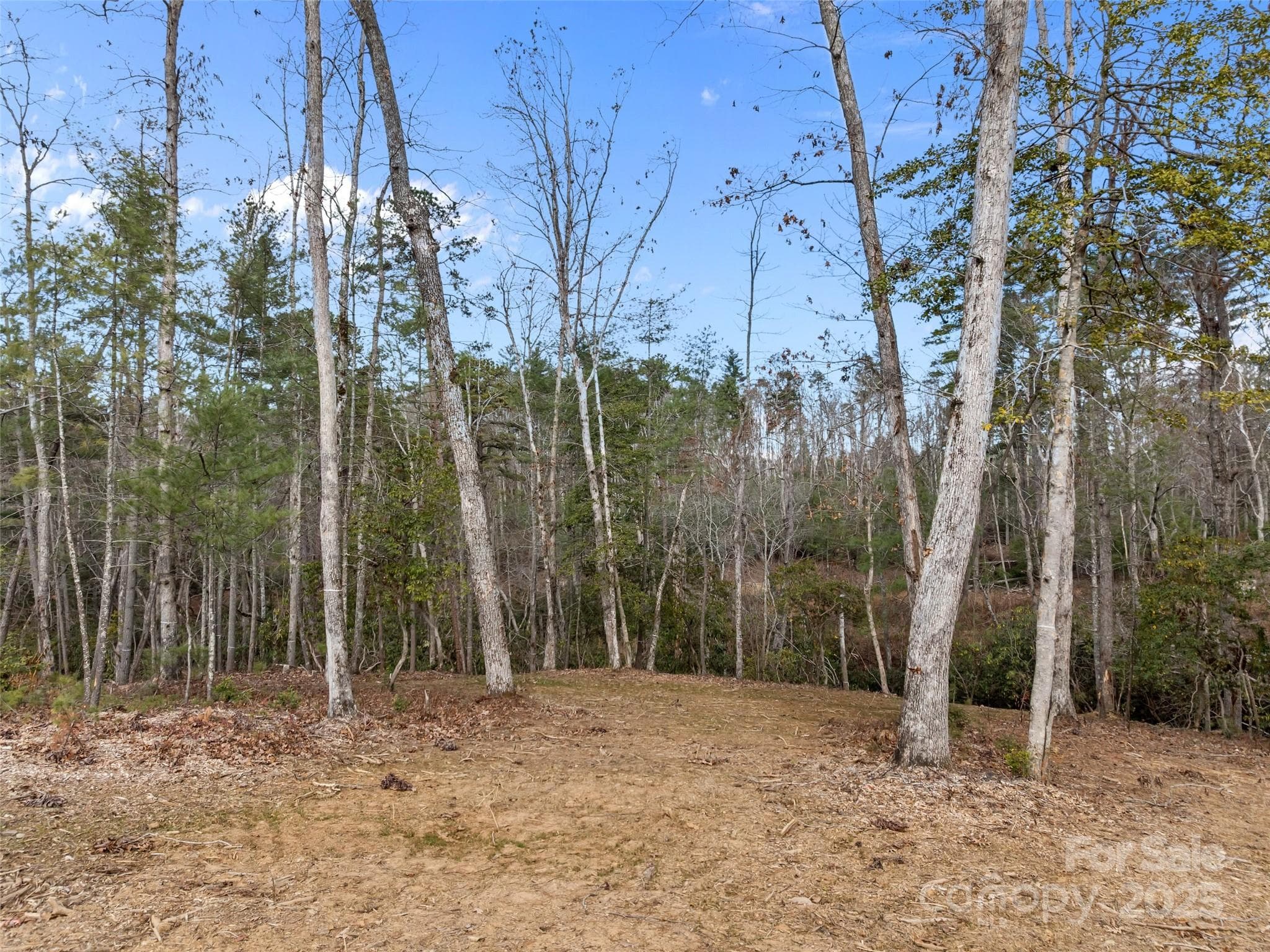Lot at Asheville, photo 5 of 35