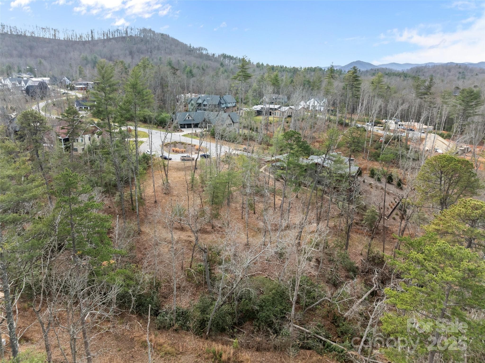 Lot at Asheville, photo 14 of 35