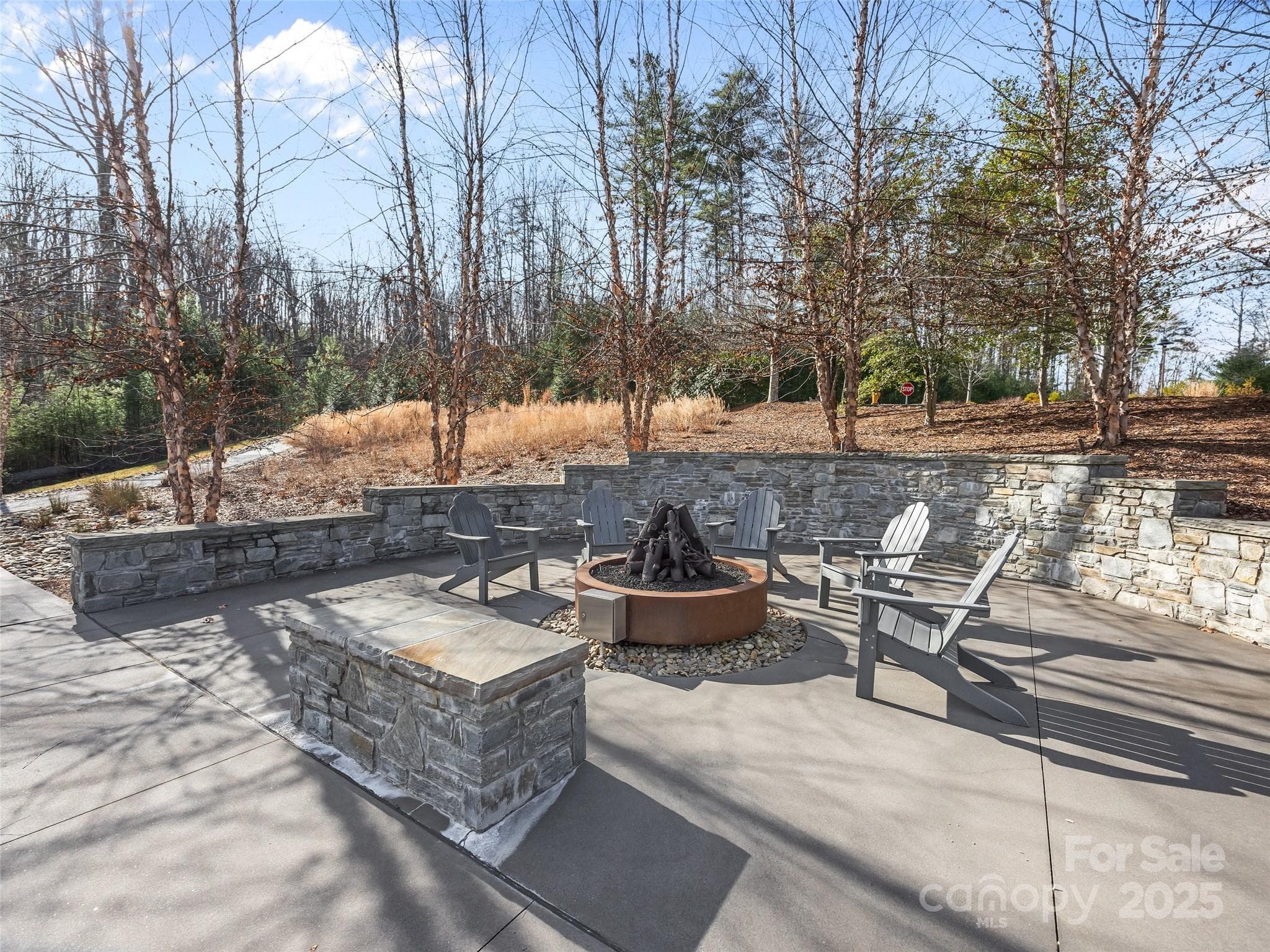 Lot at Asheville, photo 23 of 35