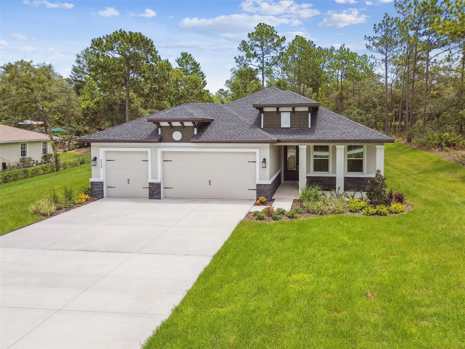 11347 STRIPED BASS CT