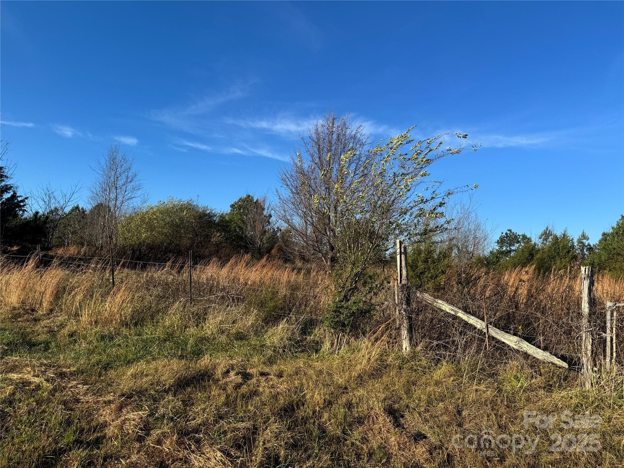 Acreage at 0 Bradley Road, Gaffney, photo 4 of 13
