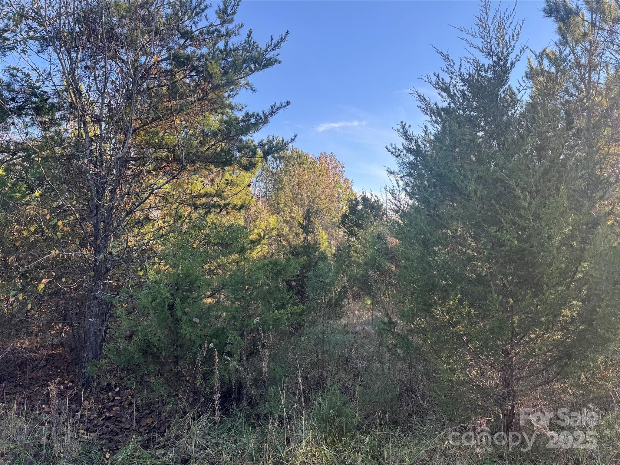 Acreage at 0 Bradley Road, Gaffney, photo 10 of 13