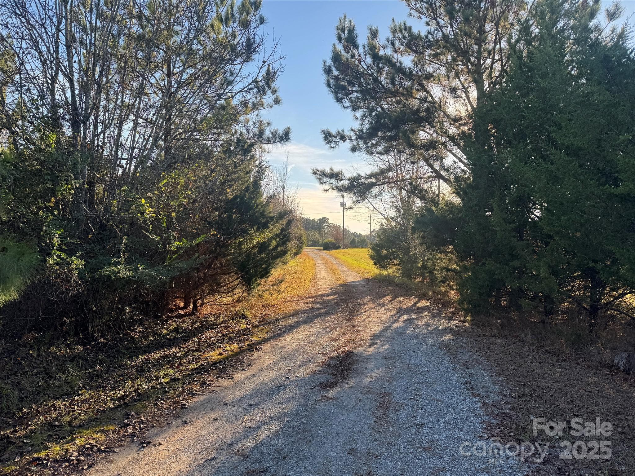 Acreage at 0 Bradley Road, Gaffney, photo 12 of 13