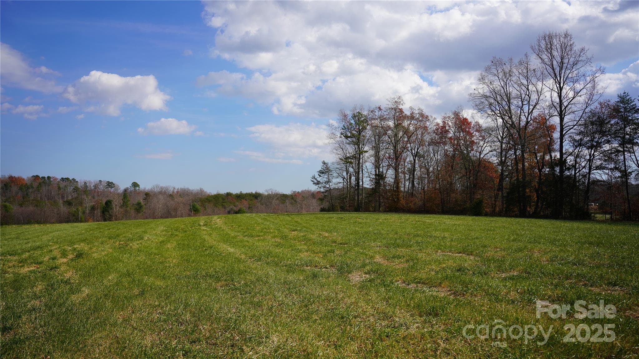Farm at 000 Old Shelby Road, Vale, photo 8 of 48