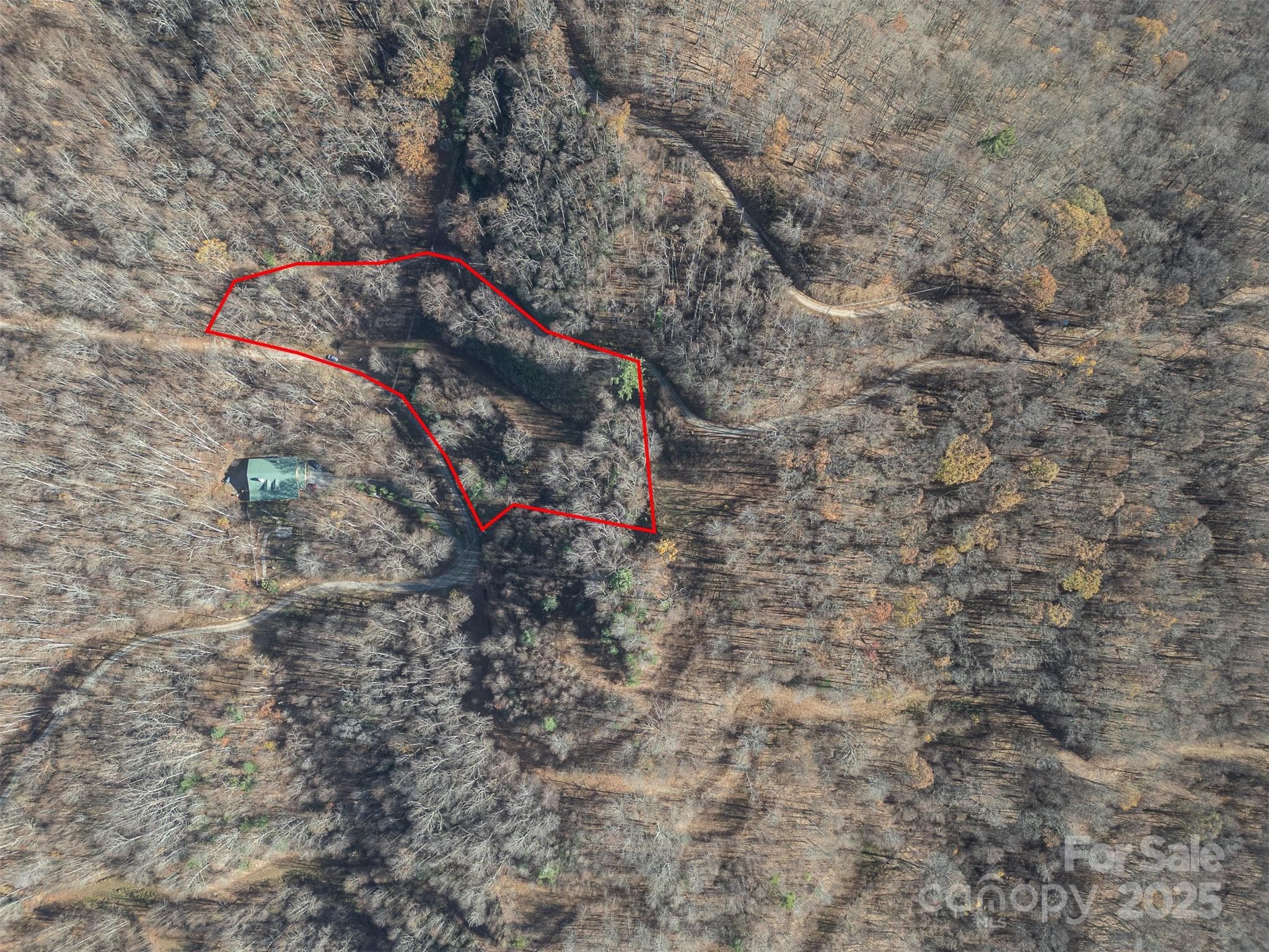 Approximate lot lines - Clyde