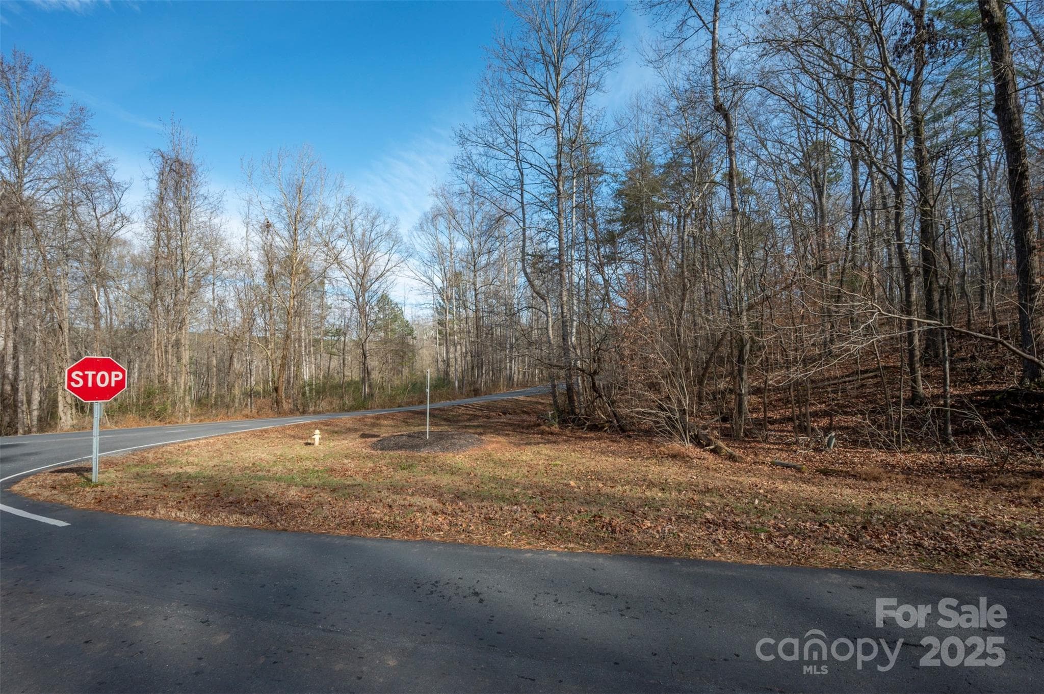 Acreage at 201 Harris Street, Bostic, photo 2 of 11