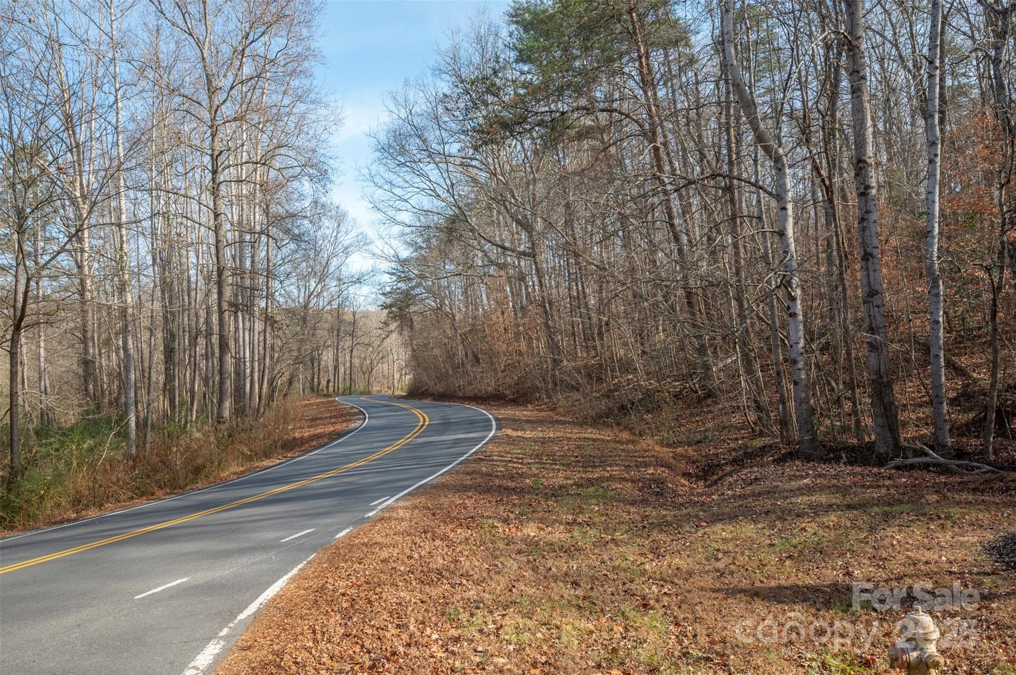 Acreage at 201 Harris Street, Bostic, photo 3 of 11