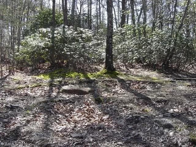 91 Old Forge Drive