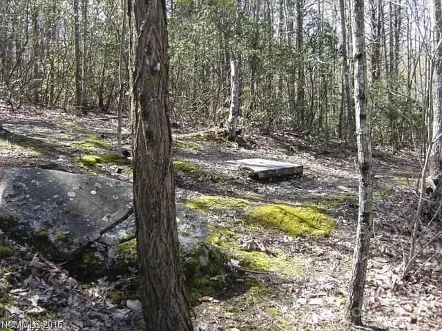 Lot at 91 Old Forge Drive, Bostic, photo 3 of 16