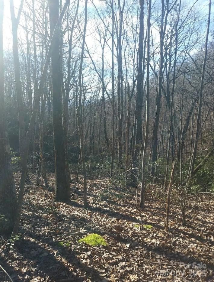 Lot at 91 Old Forge Drive, Bostic, photo 10 of 16