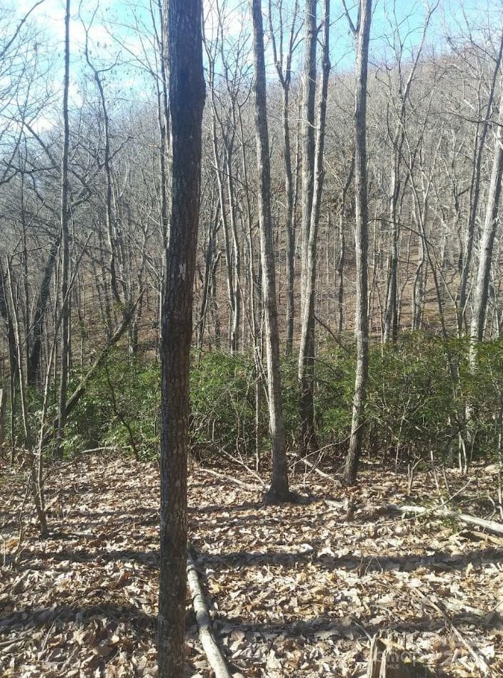 Lot at 91 Old Forge Drive, Bostic, photo 11 of 16
