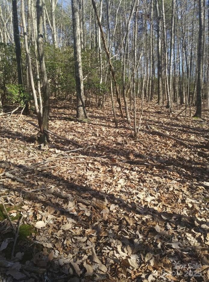Lot at 91 Old Forge Drive, Bostic, photo 12 of 16