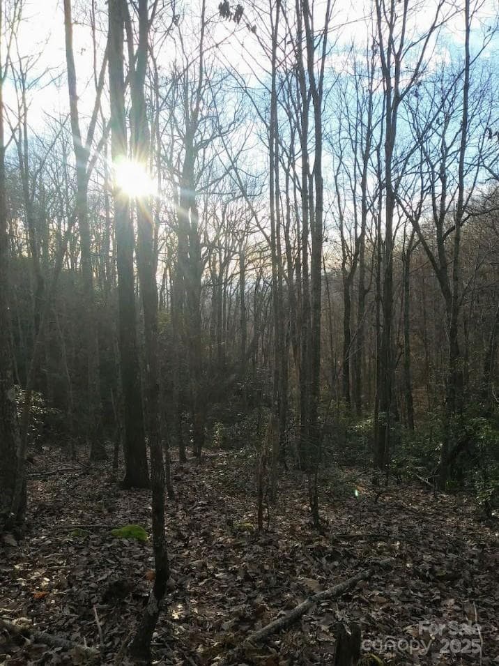 Lot at 91 Old Forge Drive, Bostic, photo 13 of 16
