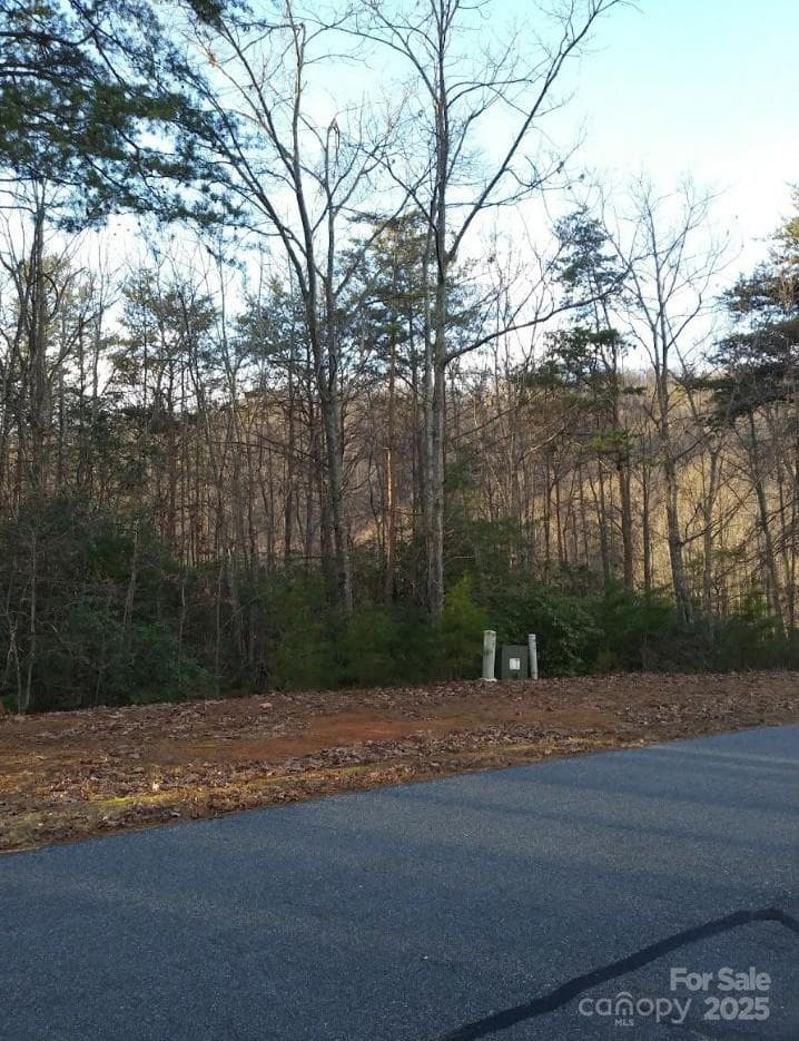 Lot at 91 Old Forge Drive, Bostic, photo 14 of 16