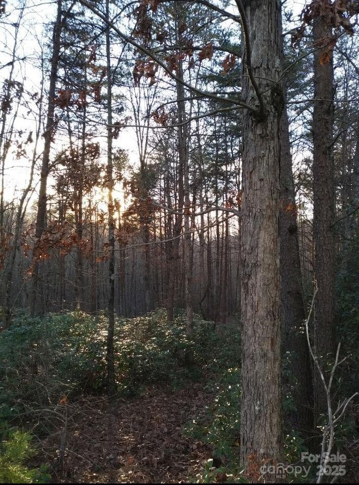 Lot at 91 Old Forge Drive, Bostic, photo 15 of 16