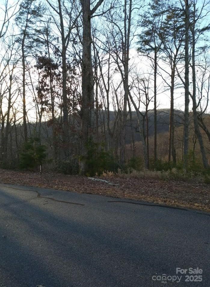Lot at 91 Old Forge Drive, Bostic, photo 16 of 16