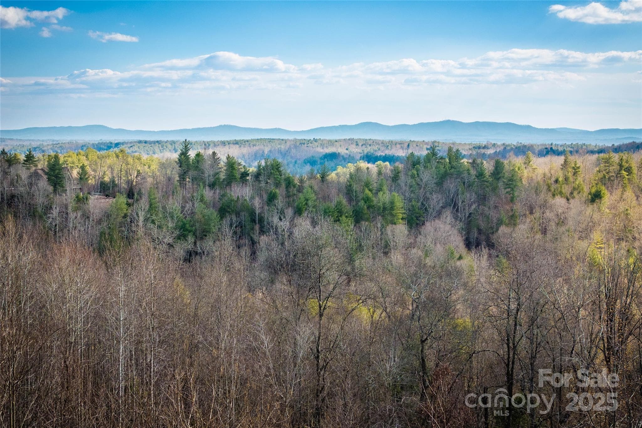 Lot at Lenoir, photo 36 of 46