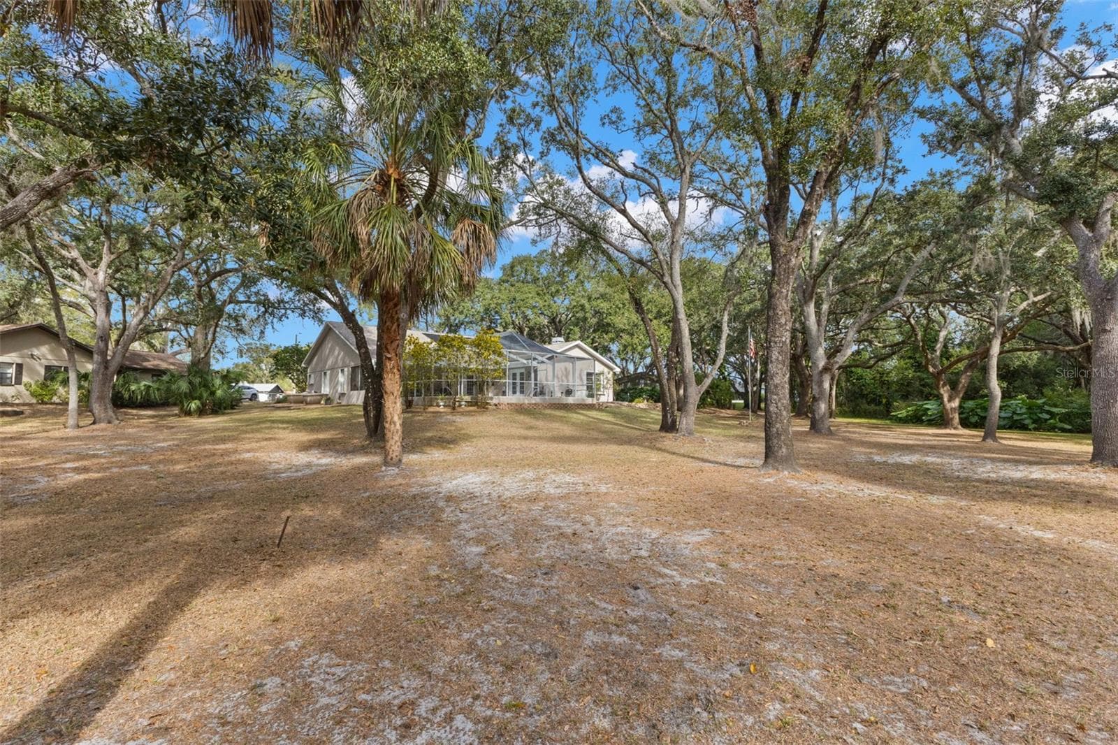 Backyard - 3734 THORNBUSH LN, NEW PORT RICHEY