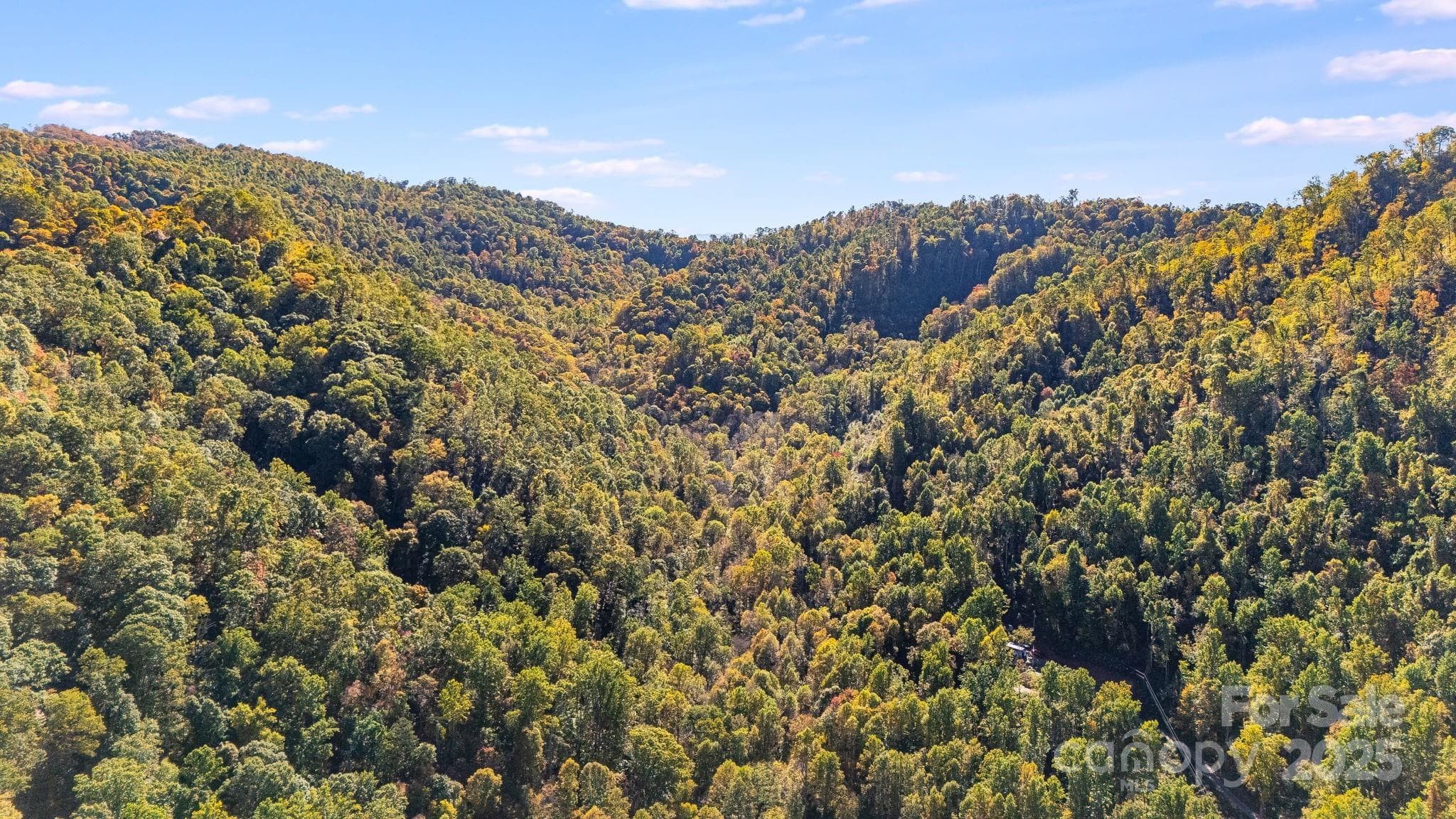 Acreage at Mars Hill, photo 11 of 16