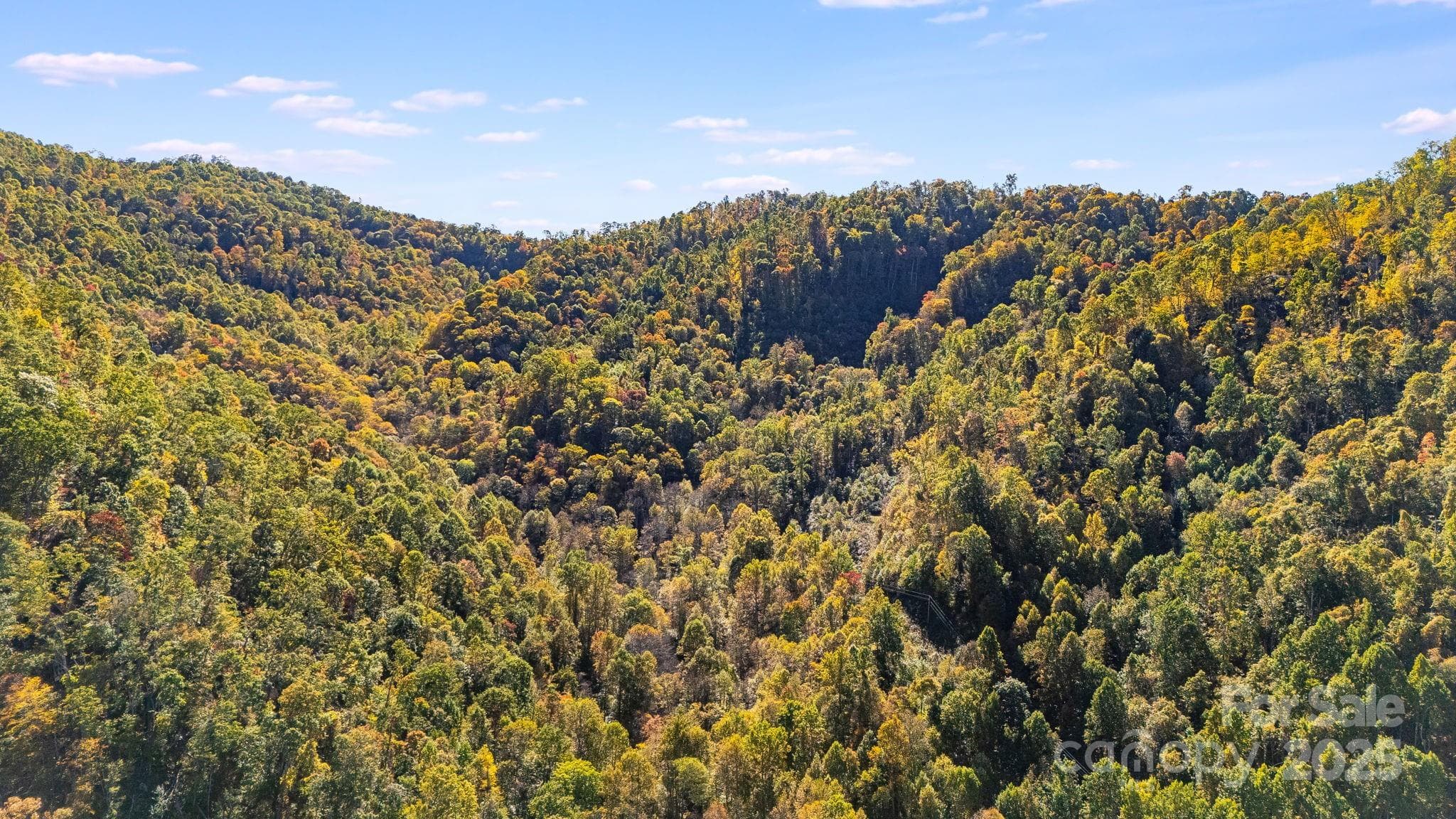 Acreage at Mars Hill, photo 13 of 16