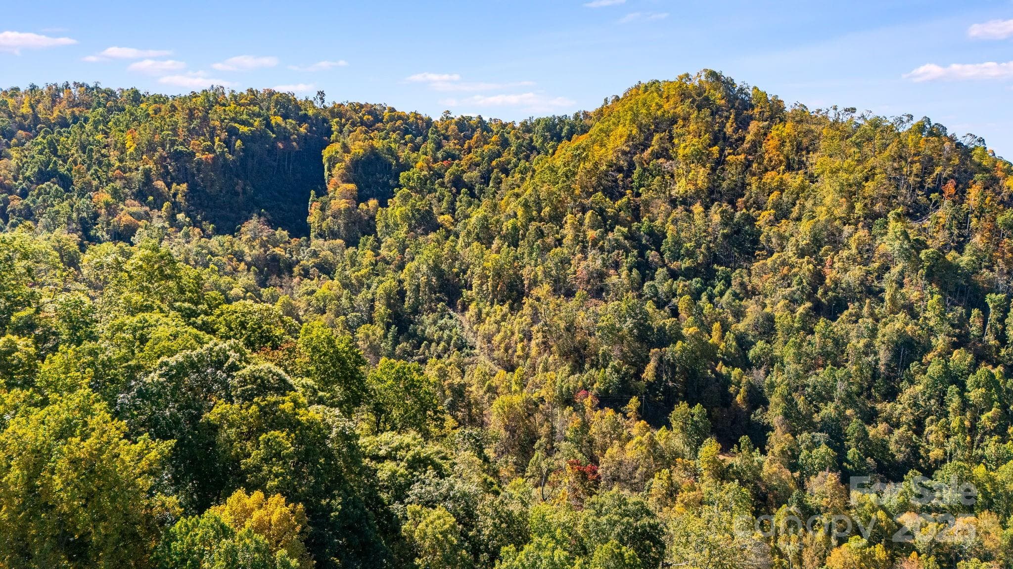 Acreage at Mars Hill, photo 14 of 16