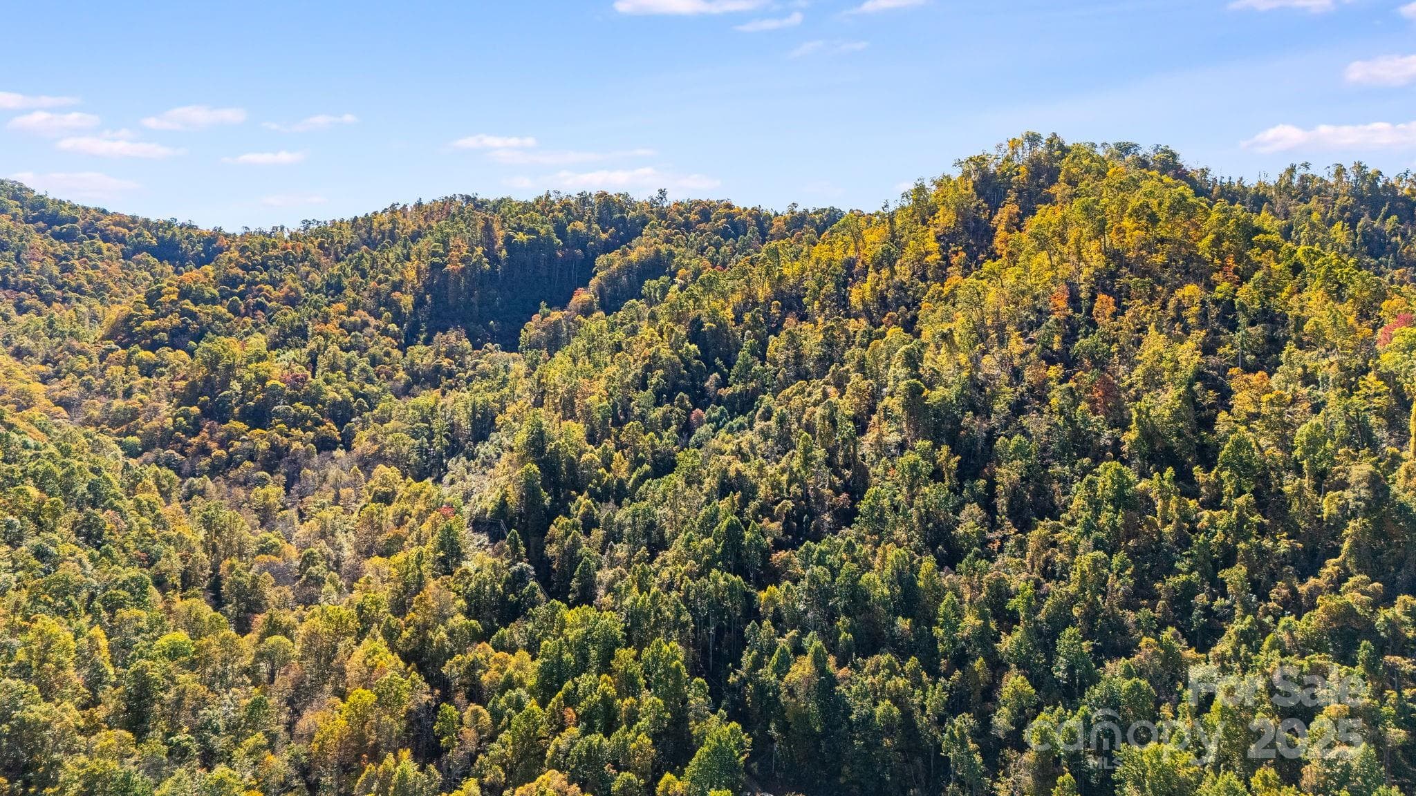 Acreage at Mars Hill, photo 15 of 16