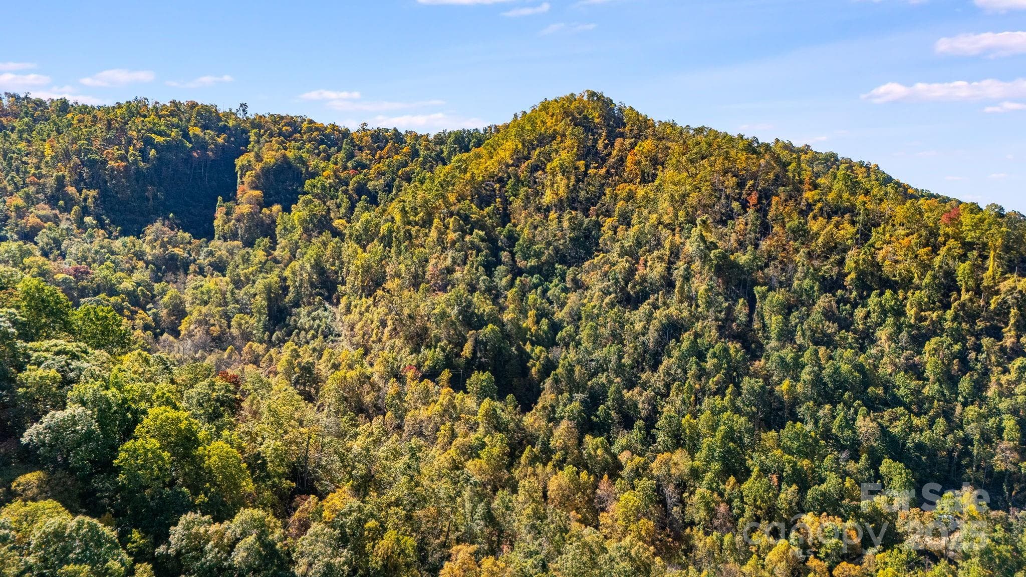 Acreage at Mars Hill, photo 16 of 16