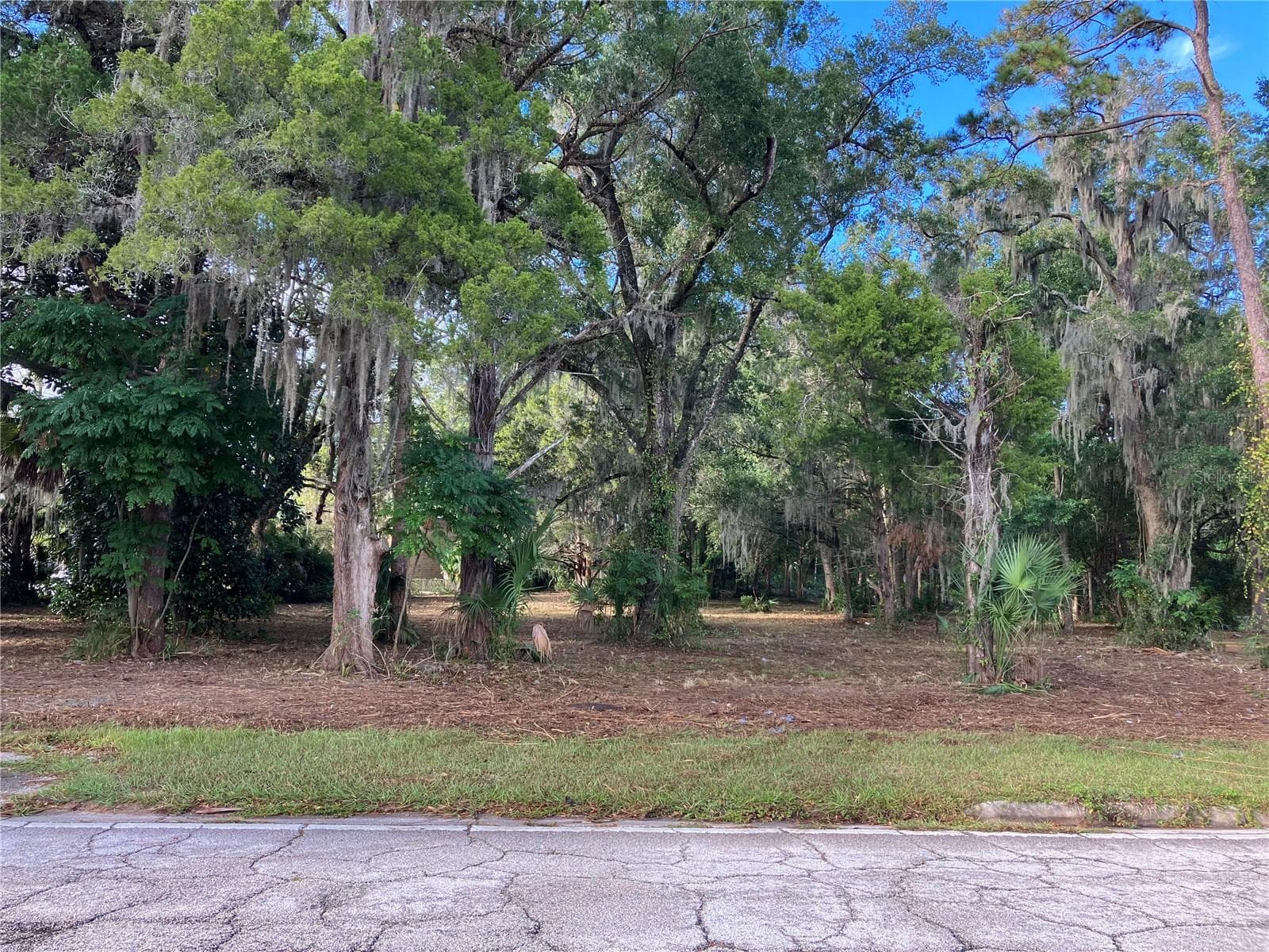 Land at 2917 NE 3RD ST, OCALA, photo 6 of 10