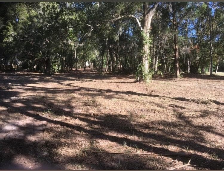 Land at 2917 NE 3RD ST, OCALA, photo 8 of 10