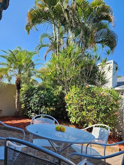Rear courtyard is Your Private Tropical Paradise - 3441 BEEKMAN PL #40, SARASOTA