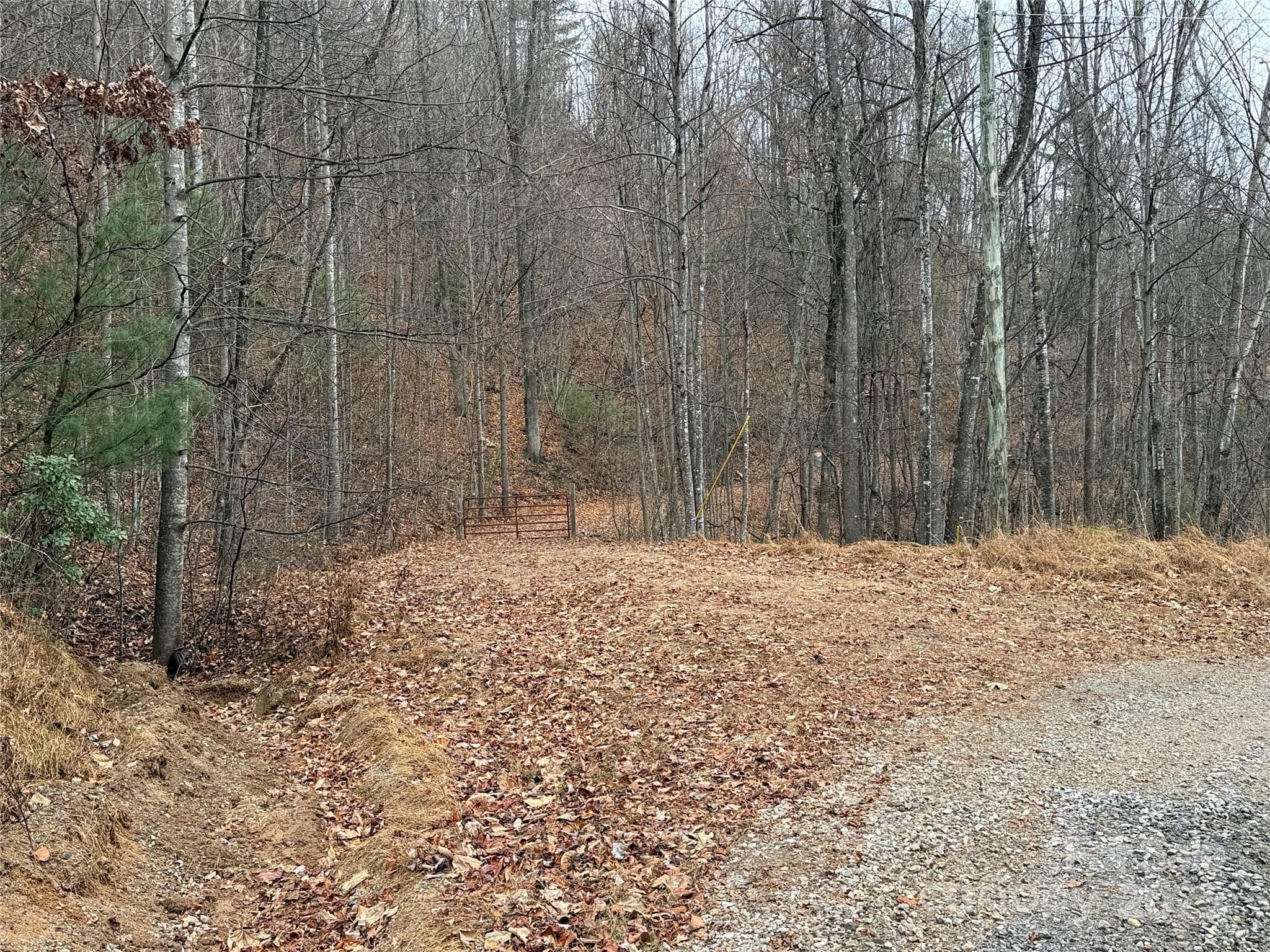 Lot 218 on left side of Casey Mtn Rd - TBD Casey Mountain Road, Purlear