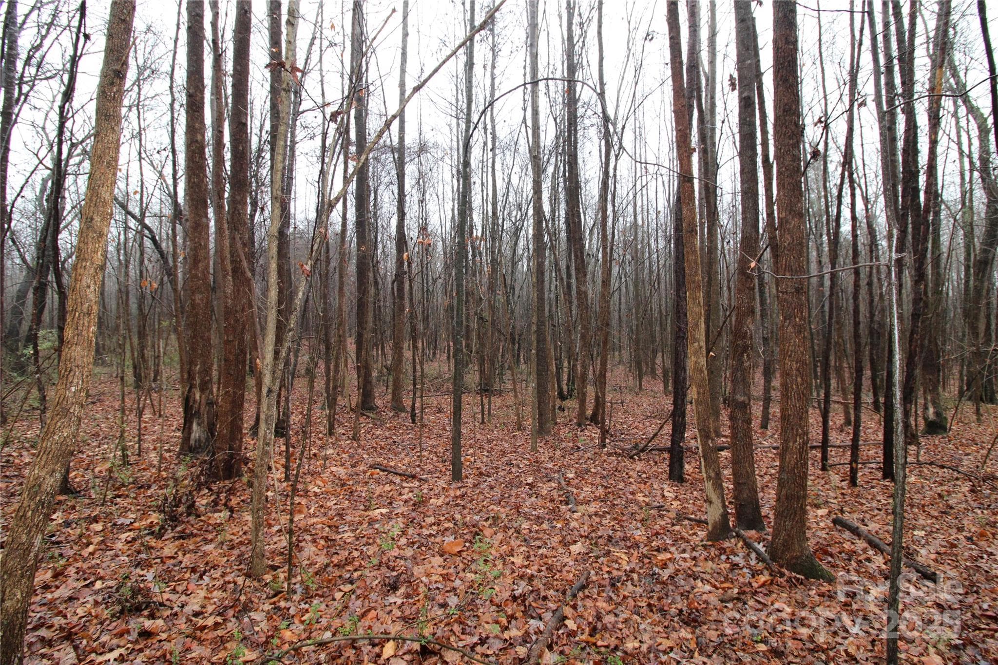 Lot at 4.38+/-AC Eaker Road, Bessemer City, photo 2 of 5