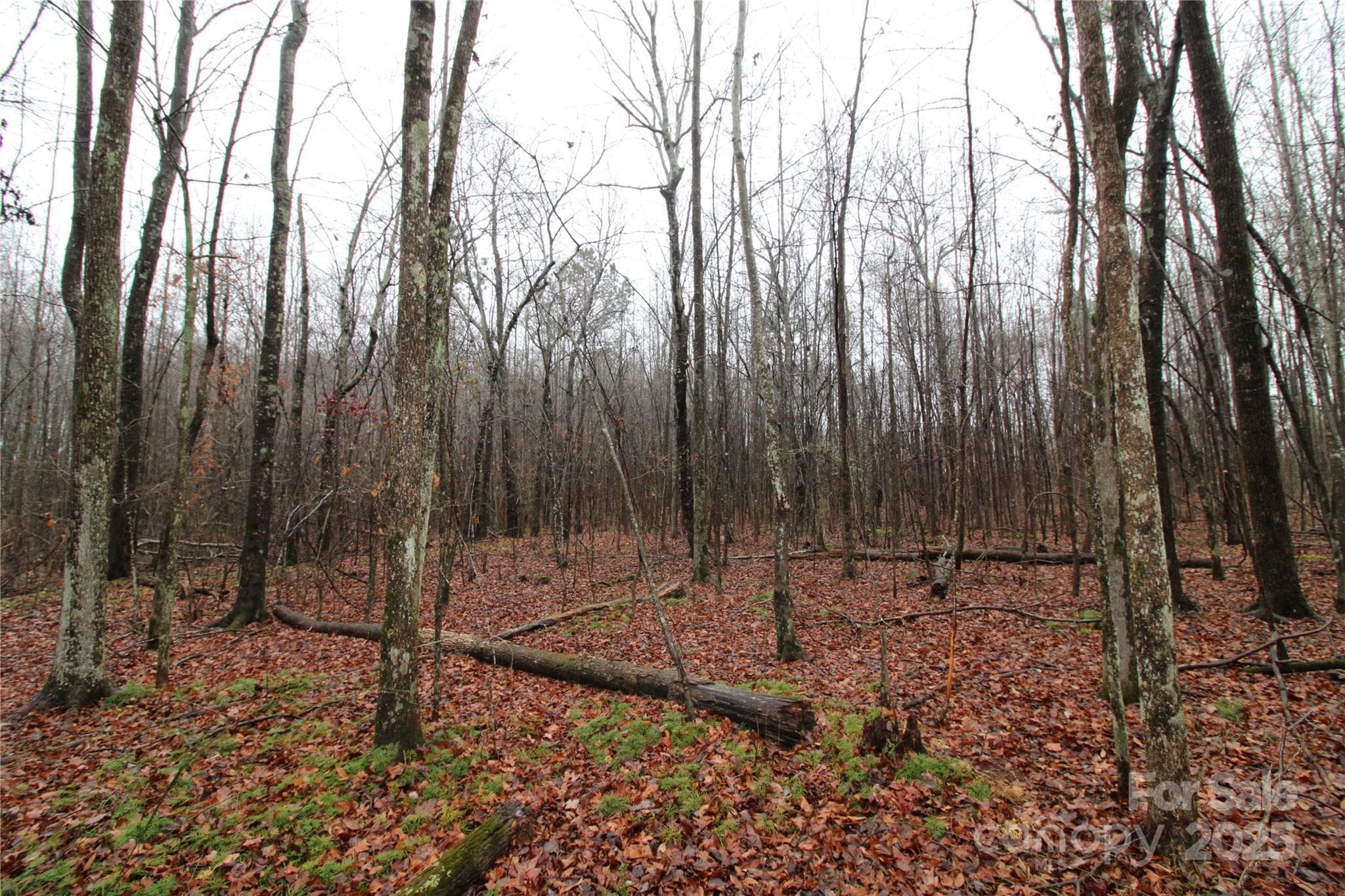Lot at 4.38+/-AC Eaker Road, Bessemer City, photo 3 of 5