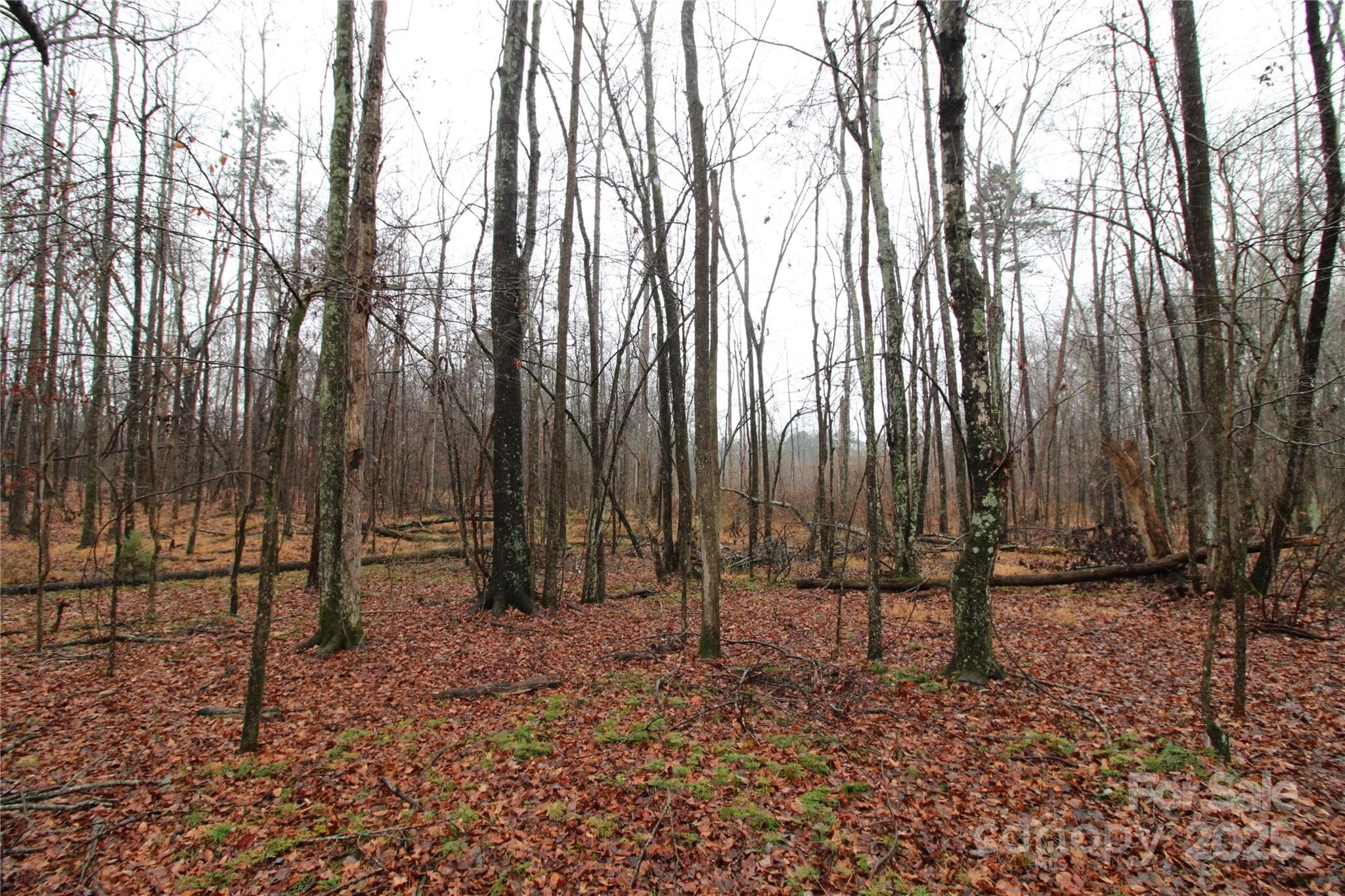 Lot at 4.38+/-AC Eaker Road, Bessemer City, photo 4 of 5