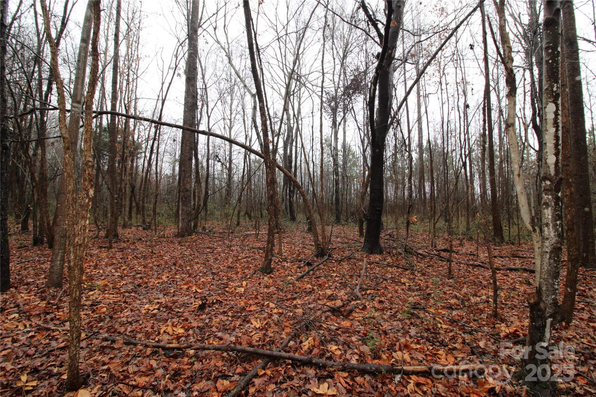 Lot at 4.58+/-AC Eaker Road, Bessemer City, photo 5 of 6
