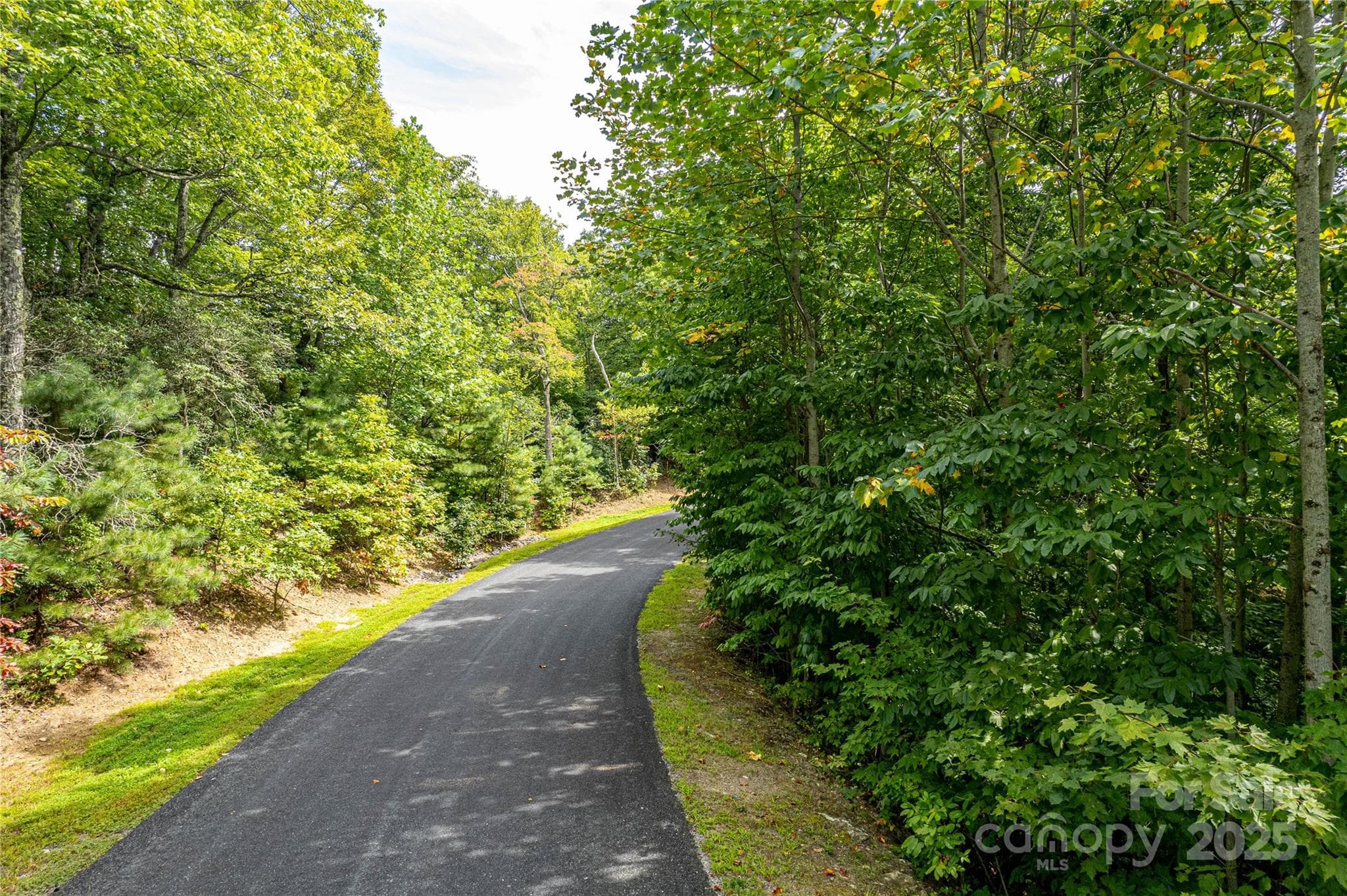 Lot at 579 Bluemist Way, Arden, photo 4 of 20