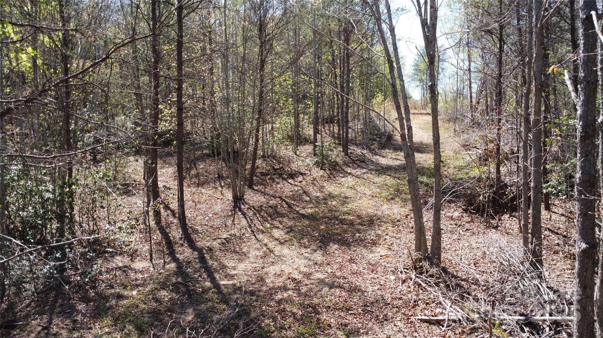 Acreage at Morganton, photo 12 of 40