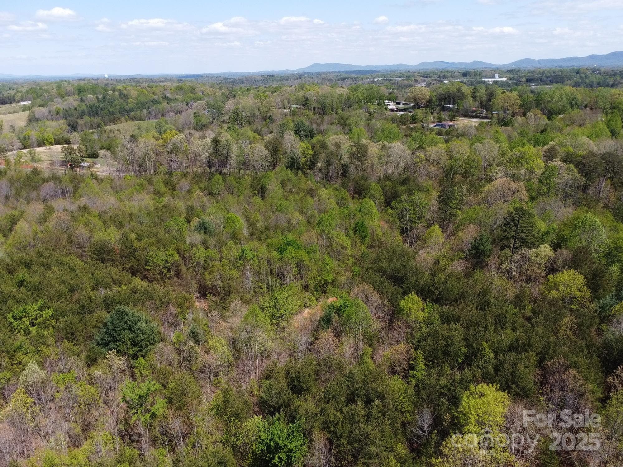 Acreage at Morganton, photo 13 of 40