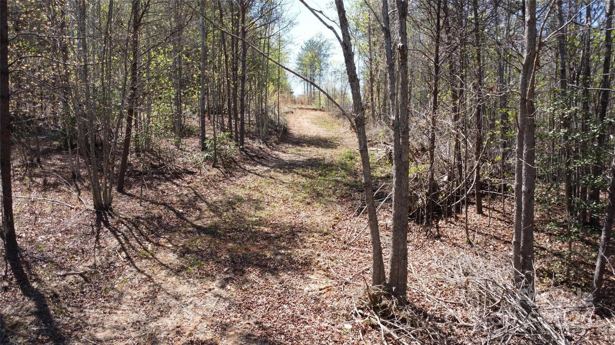 Acreage at Morganton, photo 21 of 40